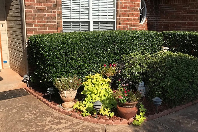 Hedge and Bush Trimming